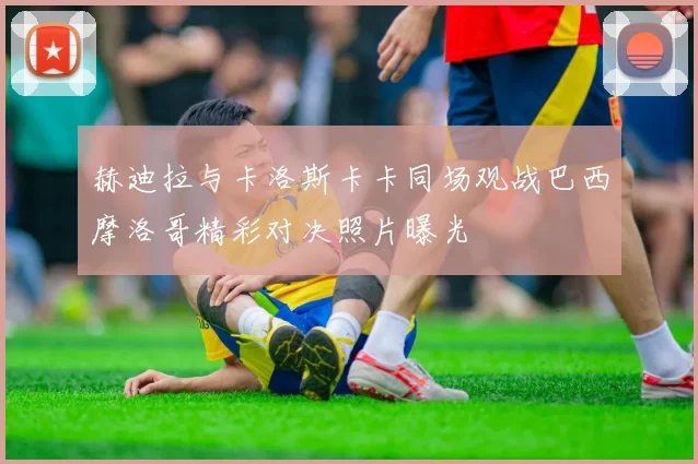 赫迪拉与卡洛斯卡卡同场观战巴西摩洛哥精彩对决照片曝光